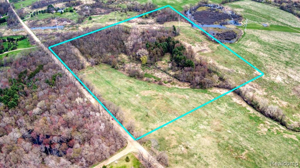 P-a Pingree Road Pinckney, MI 48169 - Photo 5 of 6