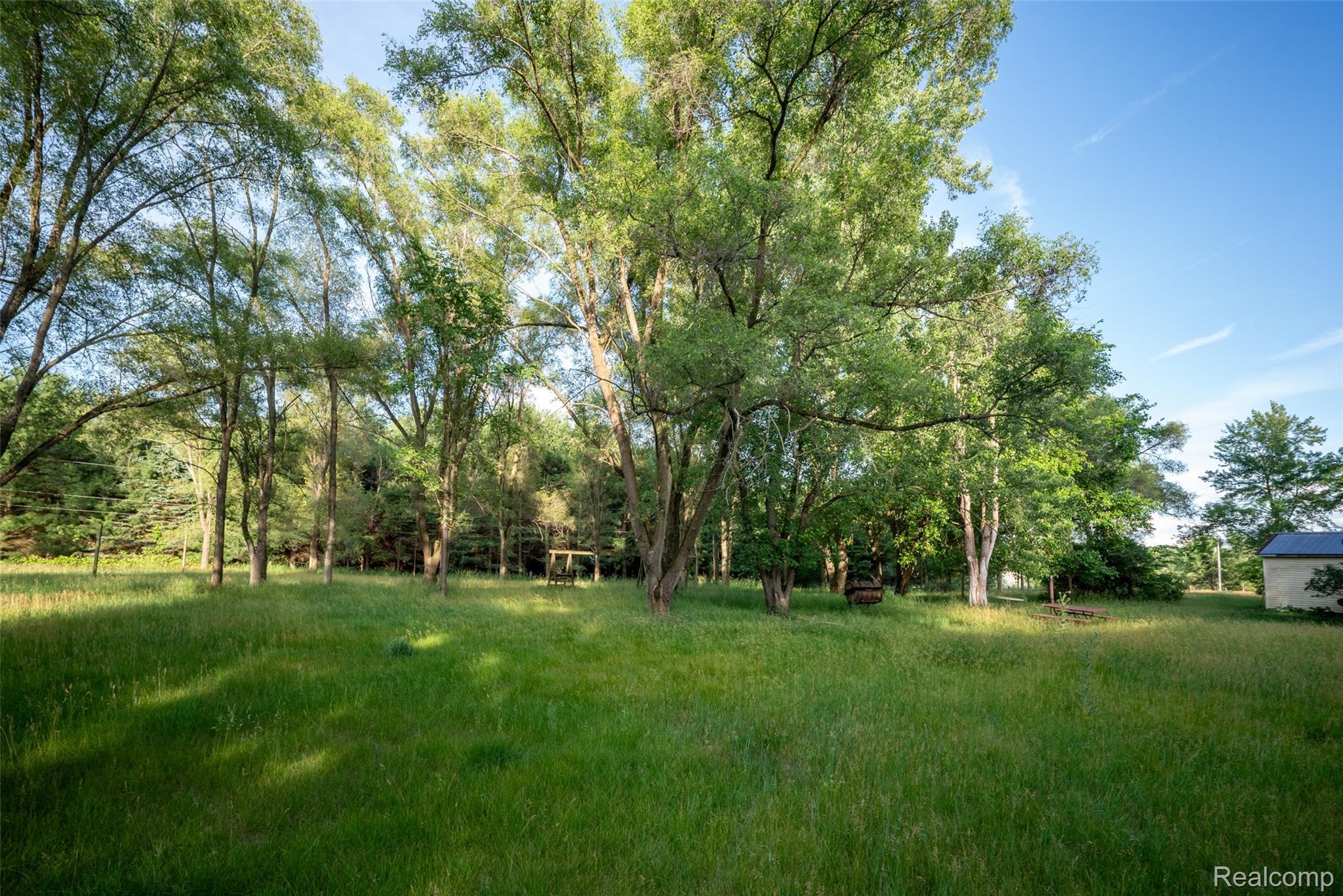 13882 Curtis Road Grass Lake, MI 49240 - Photo 34 of 35 Expansive grassy area surrounded by numerous mature trees