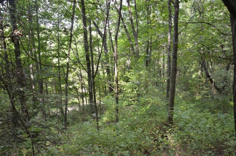 Cobb Road Delton, MI 49046 - Photo 12 of 22 Additional Photo