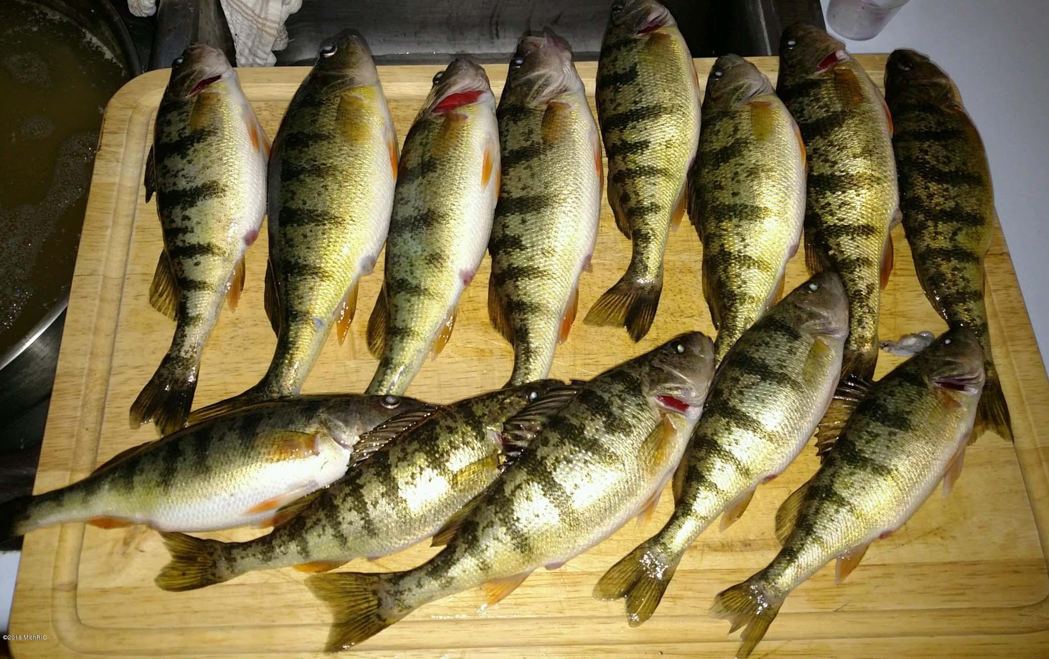 Cobb Road Delton, MI 49046 - Photo 17 of 22 Perch cropped