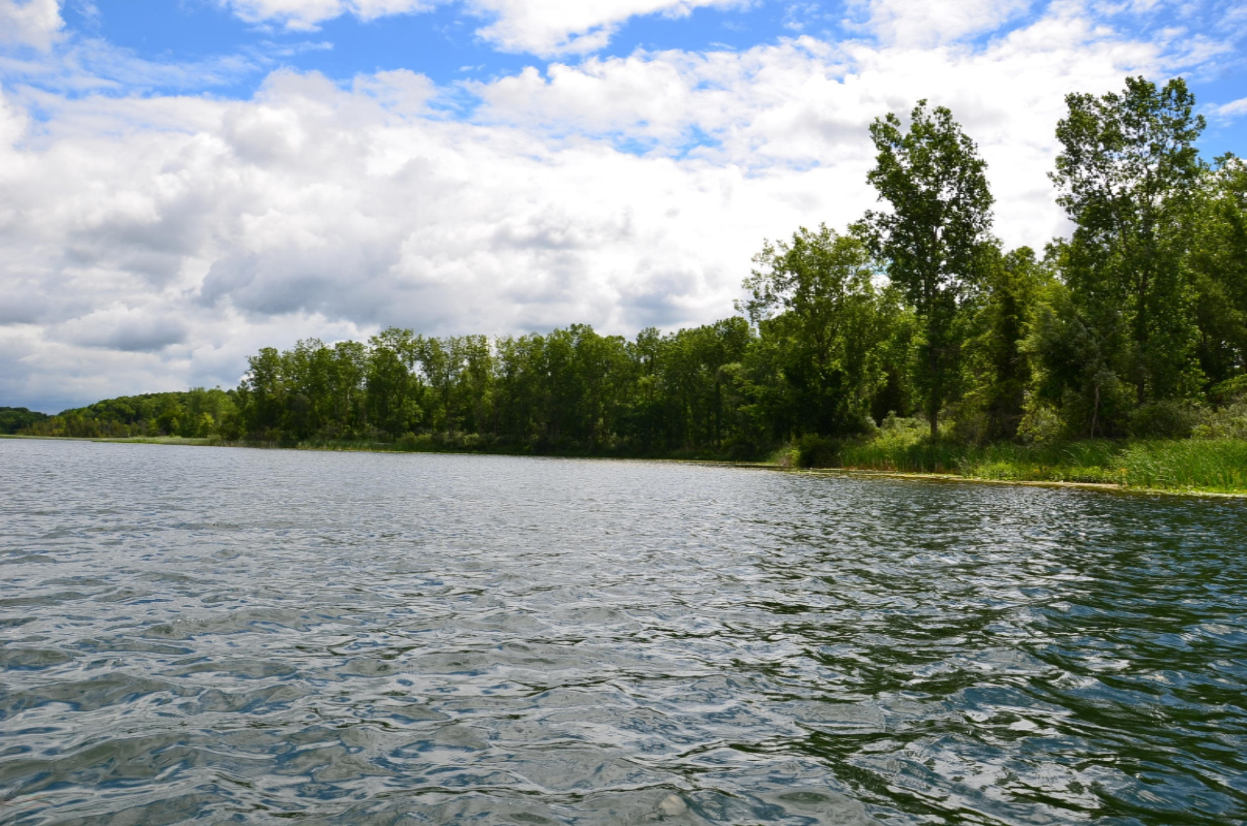 Cobb Road Delton, MI 49046 - Photo 5 of 22 DSC_1343