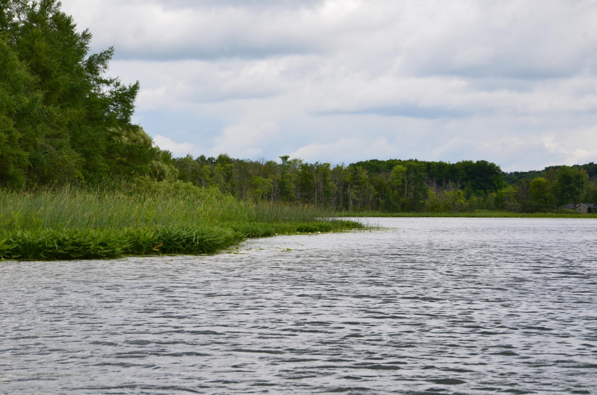 Cobb Road Delton, MI 49046 - Photo 6 of 22 DSC_1346