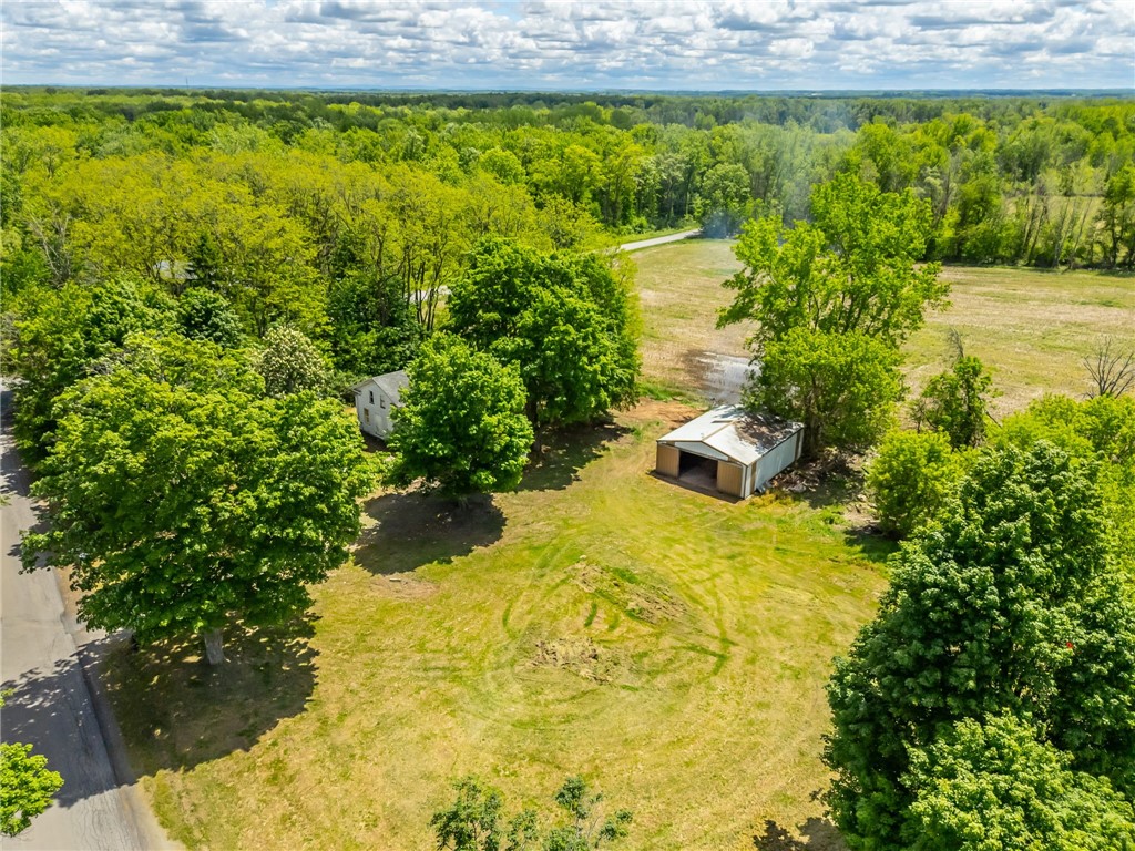 17156 Ladue Road Clarendon, NY 14470 - Photo 7 of 41