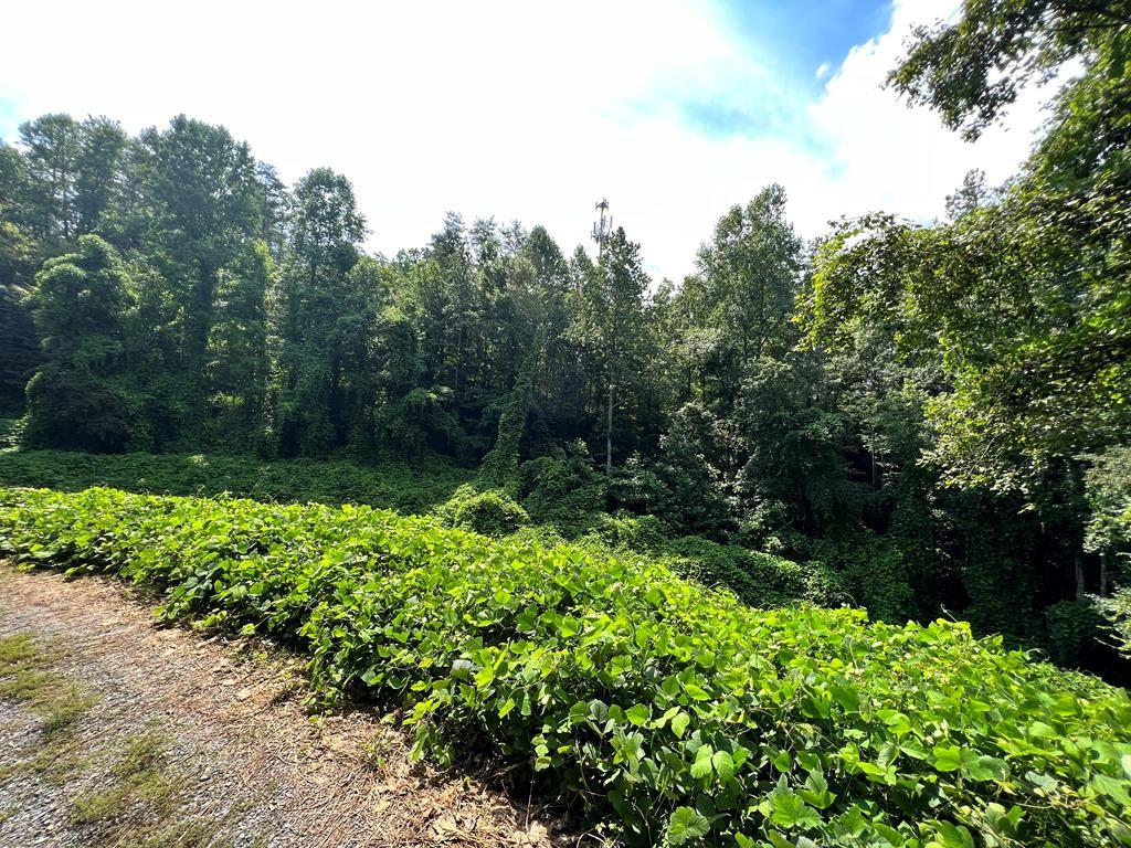 0 South King Branch Road Sevierville, TN 37876 - Photo 6 of 7