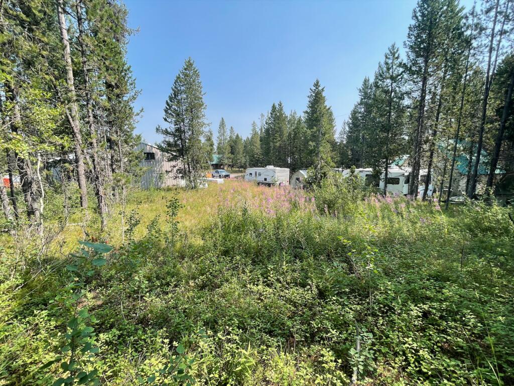 4114 South Big Springs Loop Road Island Park, ID 83429 - Photo 2 of 5 Gallery Image 2