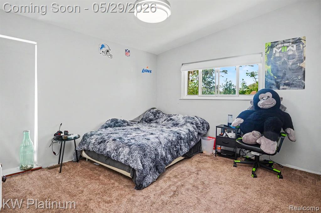 3330 Mayer Road Casco, MI 48064 - Photo 18 of 33