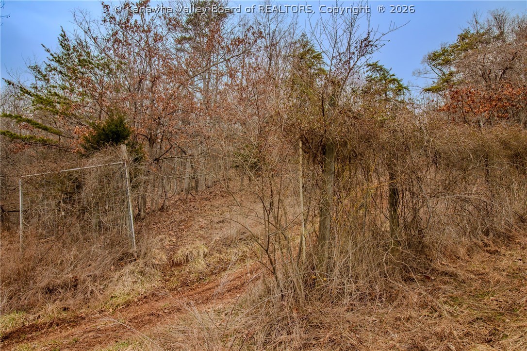 0 Evansview Road Evans, WV 25241 - Photo 19 of 41 Gallery Image 19