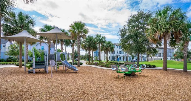 a view of a park with palm trees