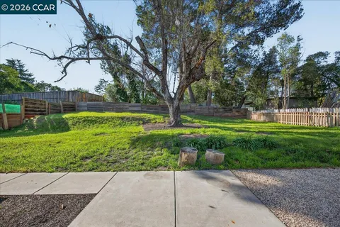 a view of a park with large trees