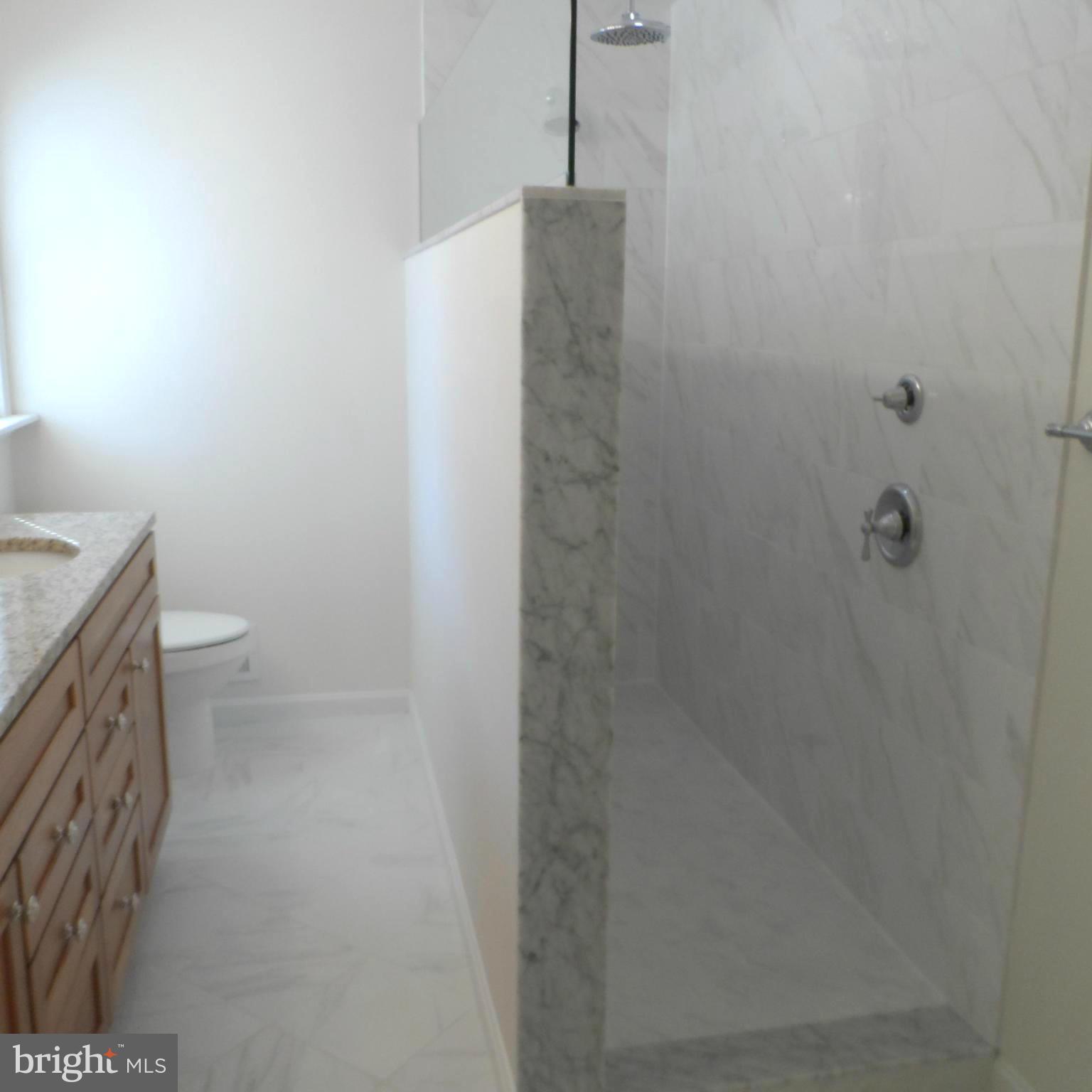 6607 Huntsman Boulevard Springfield, VA 22152 - Photo 19 of 30 Two Person Rainfall Shower