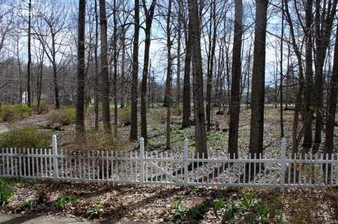 14191 North Clio Road Clio, MI 48420 - Photo 68 of 78 20399919-67.JPG