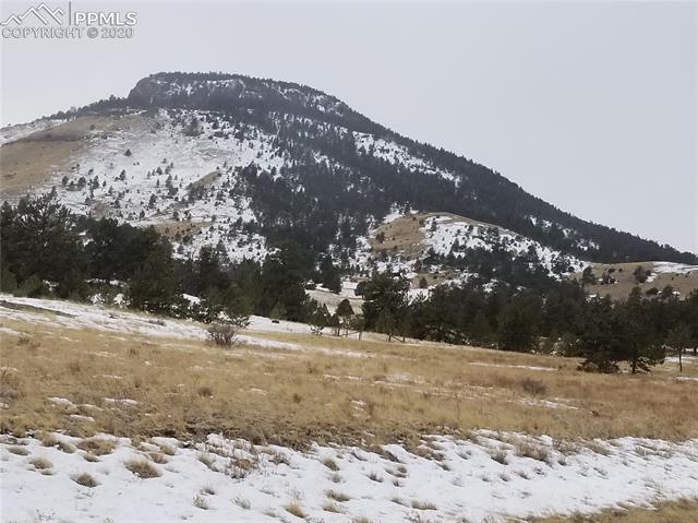 10882 Witcher Mountain Road Guffey, CO 80820 - Photo 22 of 27