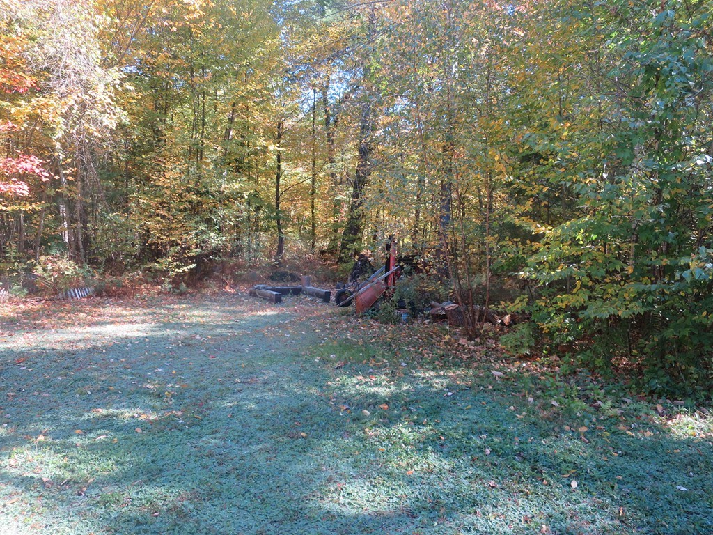 3189 Greenwich Road Hardwick, MA 01082 - Photo 2 of 27 a view of a forest with trees