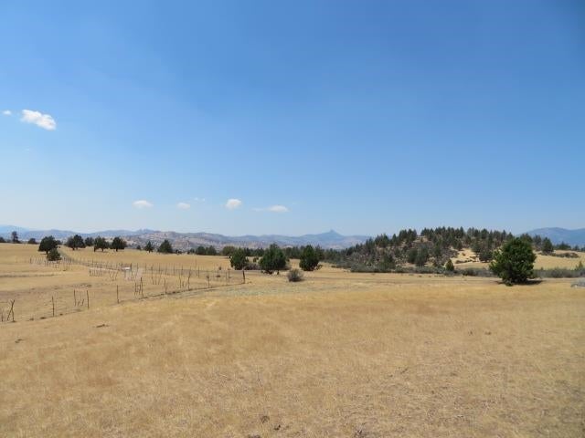 Lot 185 Iron Gate Road Hornbrook, CA 96044 - Photo 5 of 8 Gallery Image 5