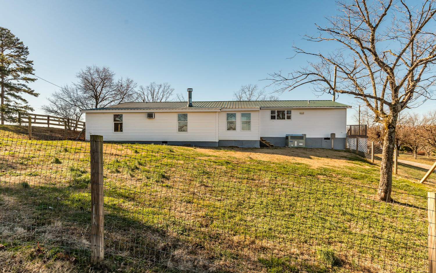 17225 Rausin Road Philadelphia, TN 37846 - Photo 24 of 34 Back Yard