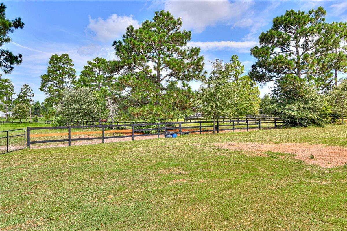 480 Thrasher Lane Windsor, SC 29856 - Photo 11 of 19
