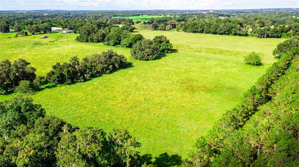 14892 Puckett Road Dade City, FL 33525 - Photo 1 of 1 Gallery Image 1