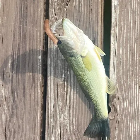 $124,900 | 435 South Rock Lake Drive, Vestaburg, MI 48891