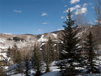 111 Borders Road Beaver Creek, CO 81620 - Photo 18 of 25 Additional Photo