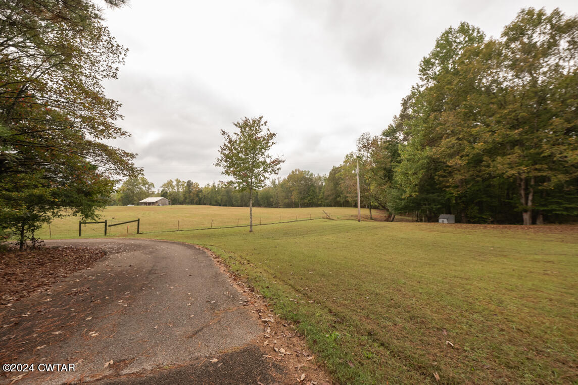 a view of a field with trees in the background
