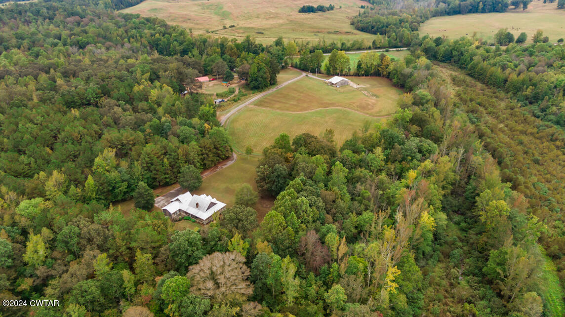 4392 Alberton Road Lexington, TN 38351 - Photo 69 of 75 a view of a houses with a lush green forest