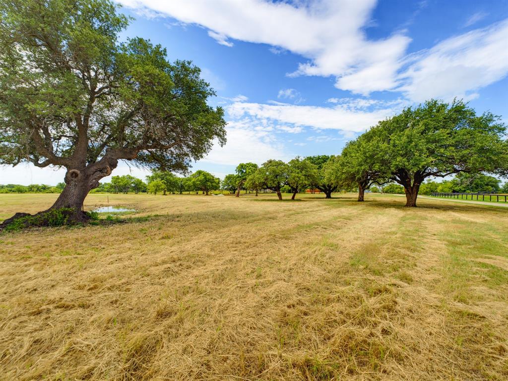 Lot 4 Old Decatur Road Decatur, TX 76234 - Photo 7 of 34