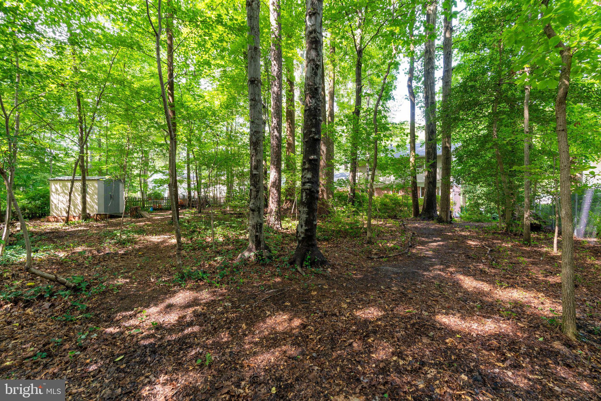 8313 Oakford Drive Springfield, VA 22152 - Photo 40 of 45 Well-kept private wooded lot