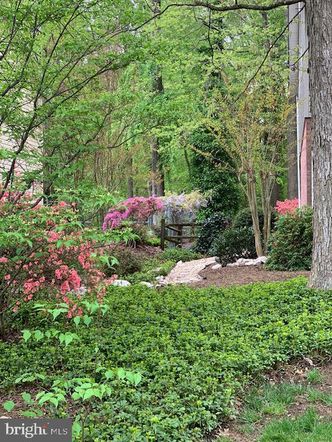 8313 Oakford Drive Springfield, VA 22152 - Photo 44 of 45 Photo from Spring time