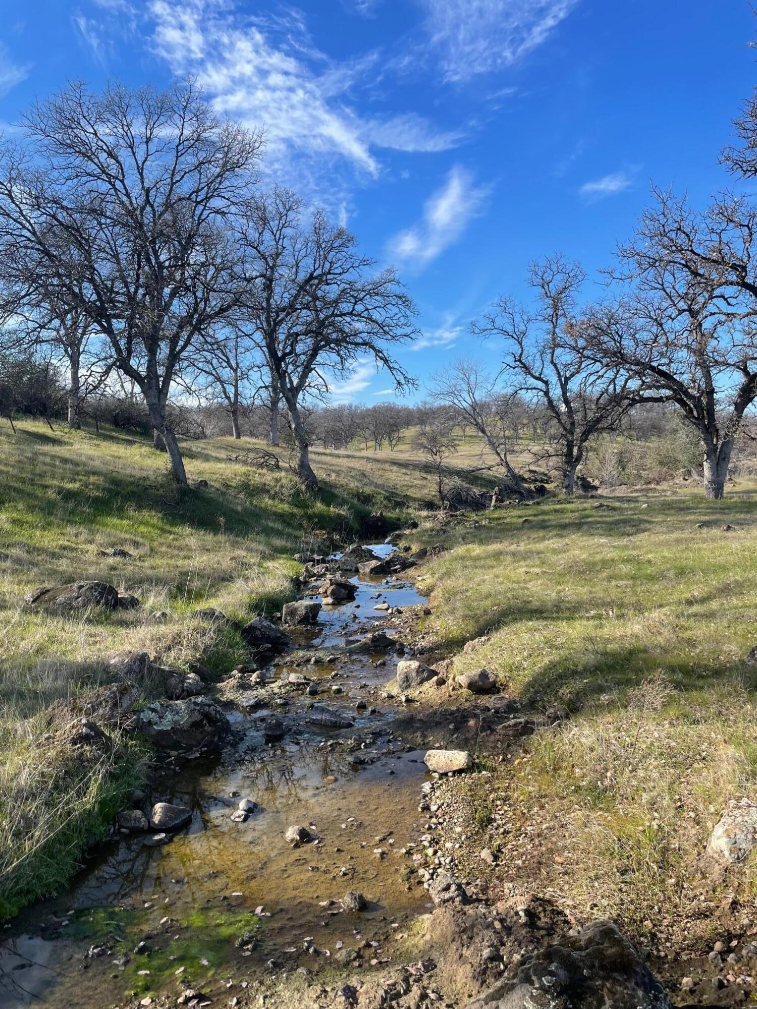24423 Bascom Road Millville, CA 96062 - Photo 27 of 31 creek