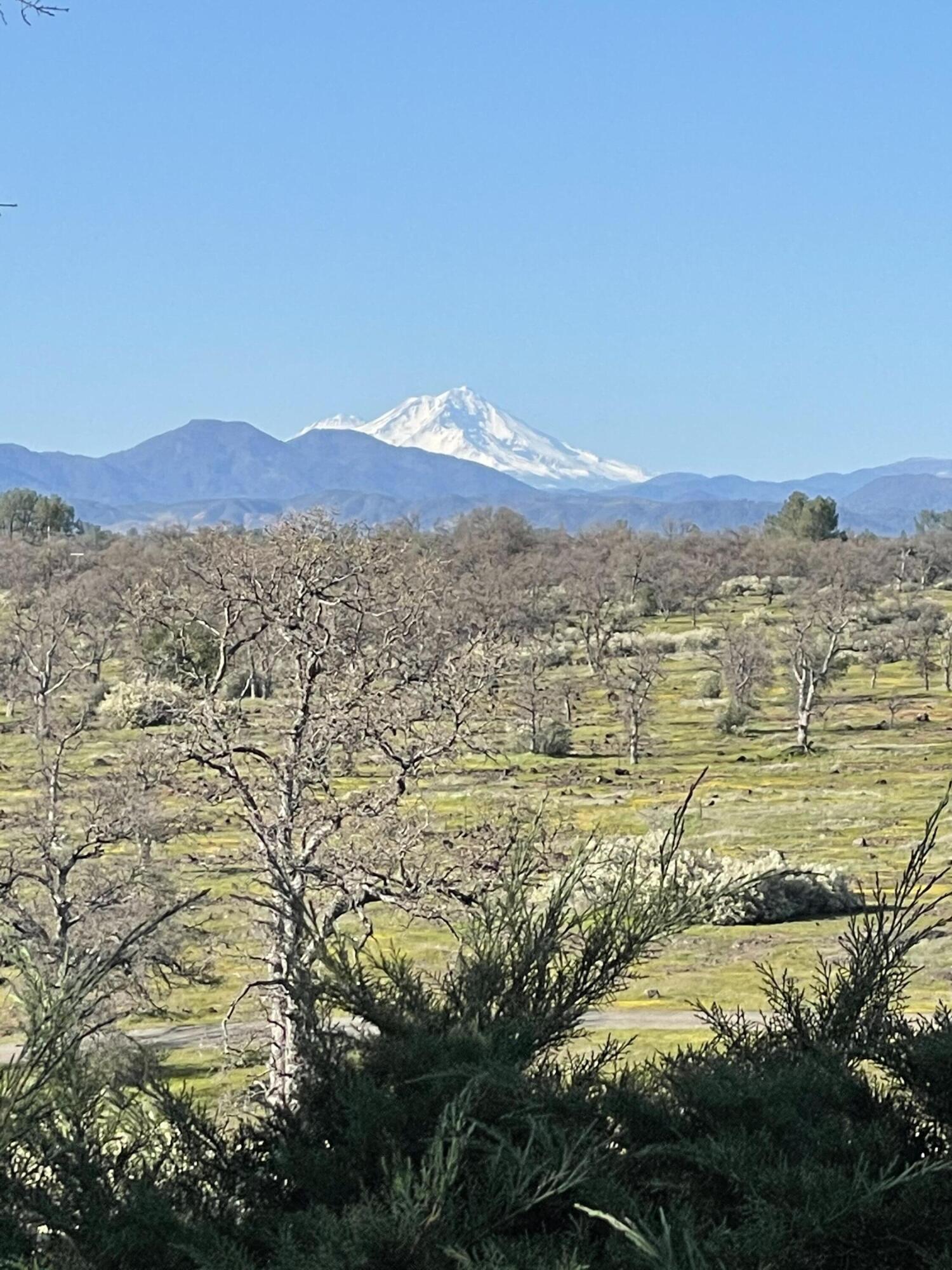 24423 Bascom Road Millville, CA 96062 - Photo 30 of 31 Mount shasta