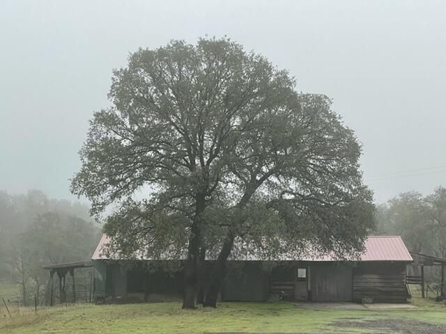 24423 Bascom Road Millville, CA 96062 - Photo 31 of 31 foggy barn