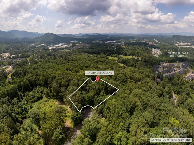an aerial view of a forest with mountains