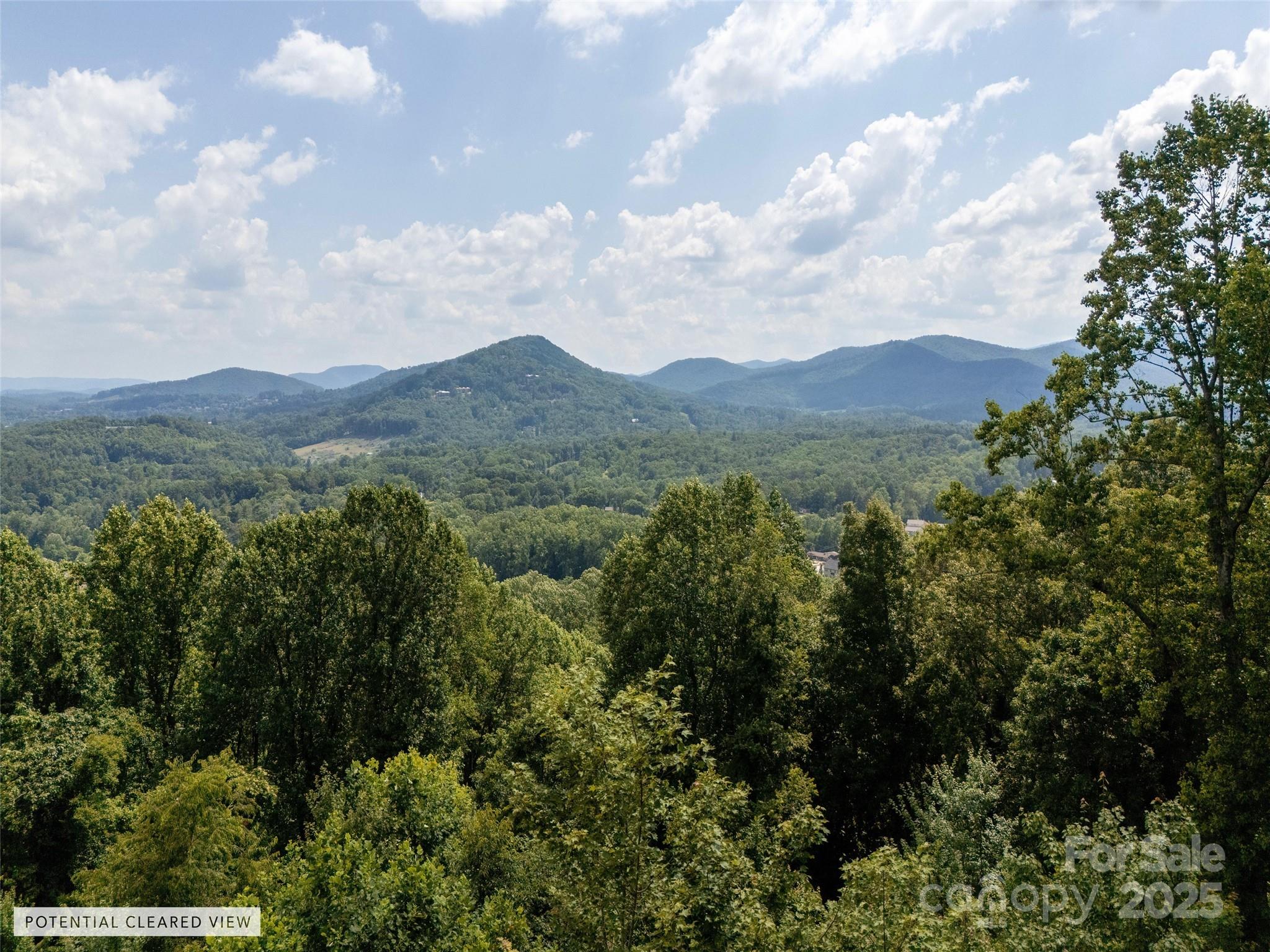 64 Arabella Lane Arden, NC 28704 - Photo 6 of 11 an aerial view of houses covered in trees
