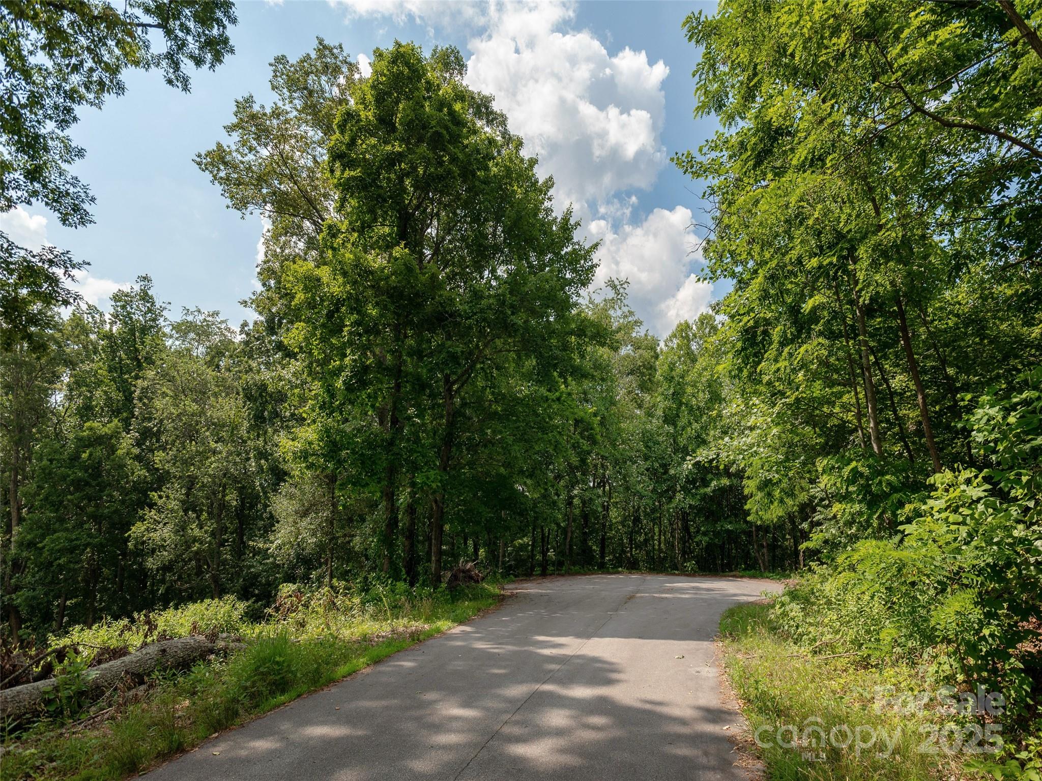64 Arabella Lane Arden, NC 28704 - Photo 7 of 11 a view of a pathway both side of yard