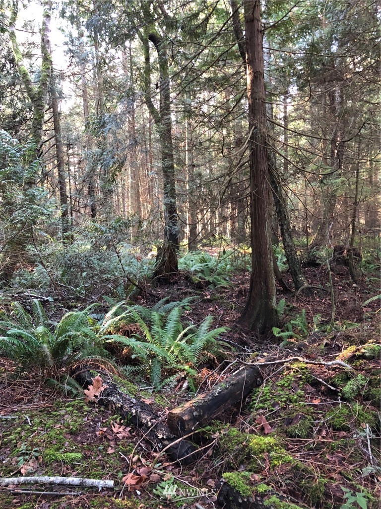 1839 Johnson Road Point Roberts, WA 98281 - Photo 2 of 8