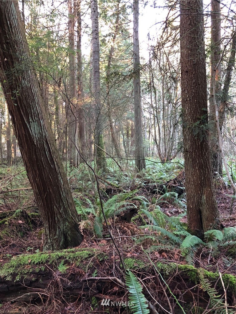 1839 Johnson Road Point Roberts, WA 98281 - Photo 3 of 8