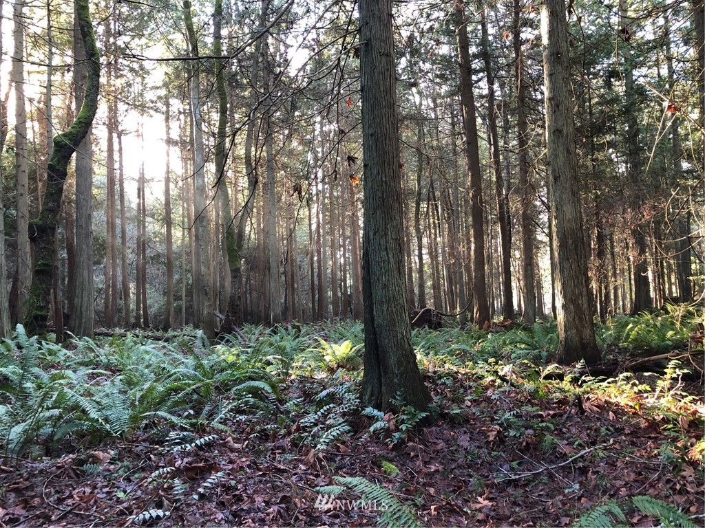 1839 Johnson Road Point Roberts, WA 98281 - Photo 4 of 8