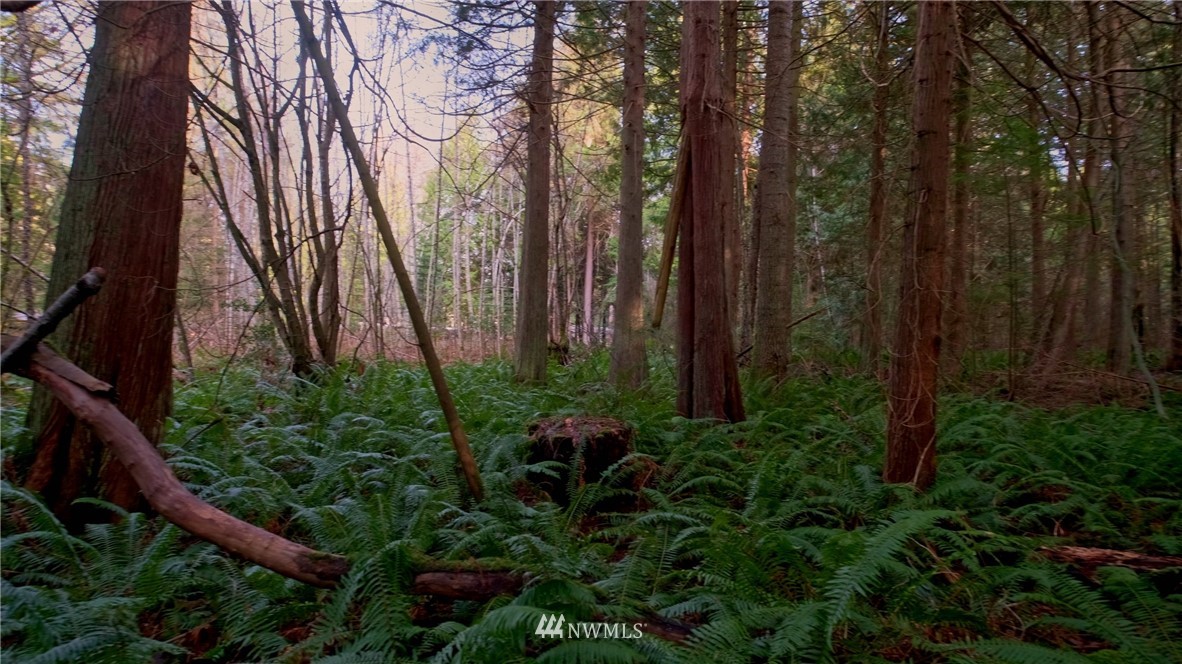 1839 Johnson Road Point Roberts, WA 98281 - Photo 6 of 8