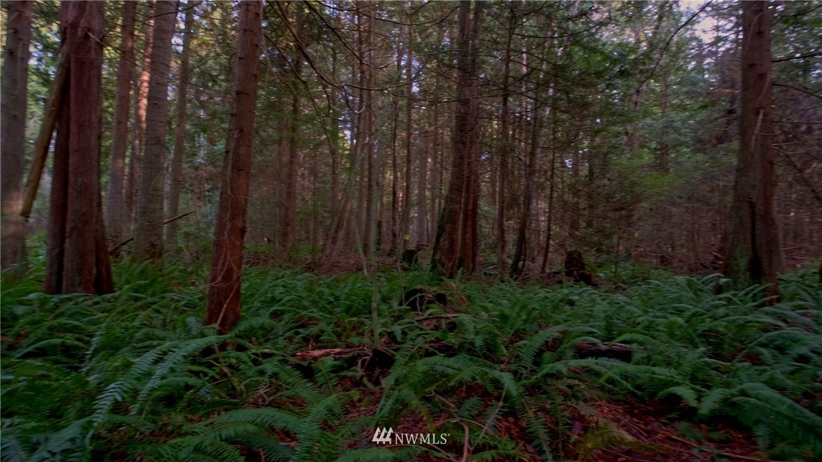 1839 Johnson Road Point Roberts, WA 98281 - Photo 7 of 8