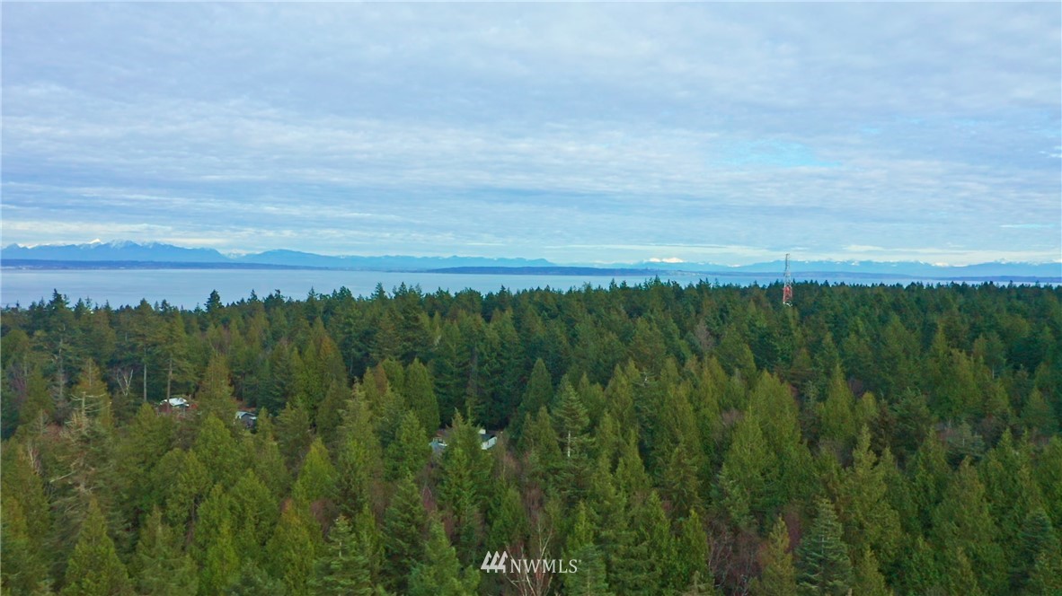 1839 Johnson Road Point Roberts, WA 98281 - Photo 8 of 8