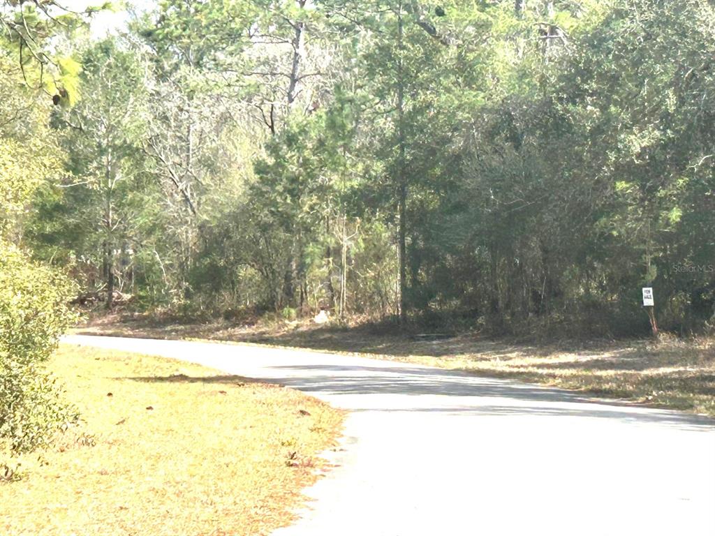 0 Southwest 163rd Street Road Ocala, FL 34473 - Photo 3 of 9 Gallery Image 3