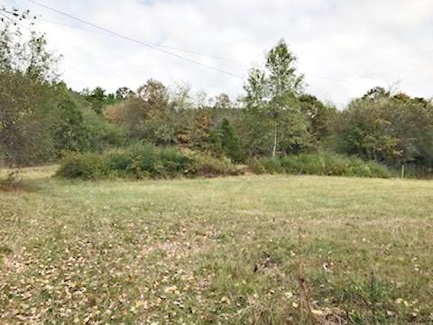 Woods Hollow Road Decatur, TN 37322 - Photo 2 of 2 IMG_0134