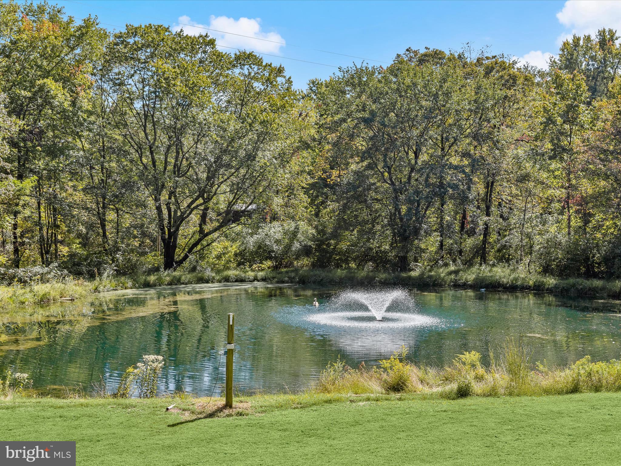 6270 Davis Road Woodbine, MD 21797 - Photo 33 of 88 Pond with Fountain