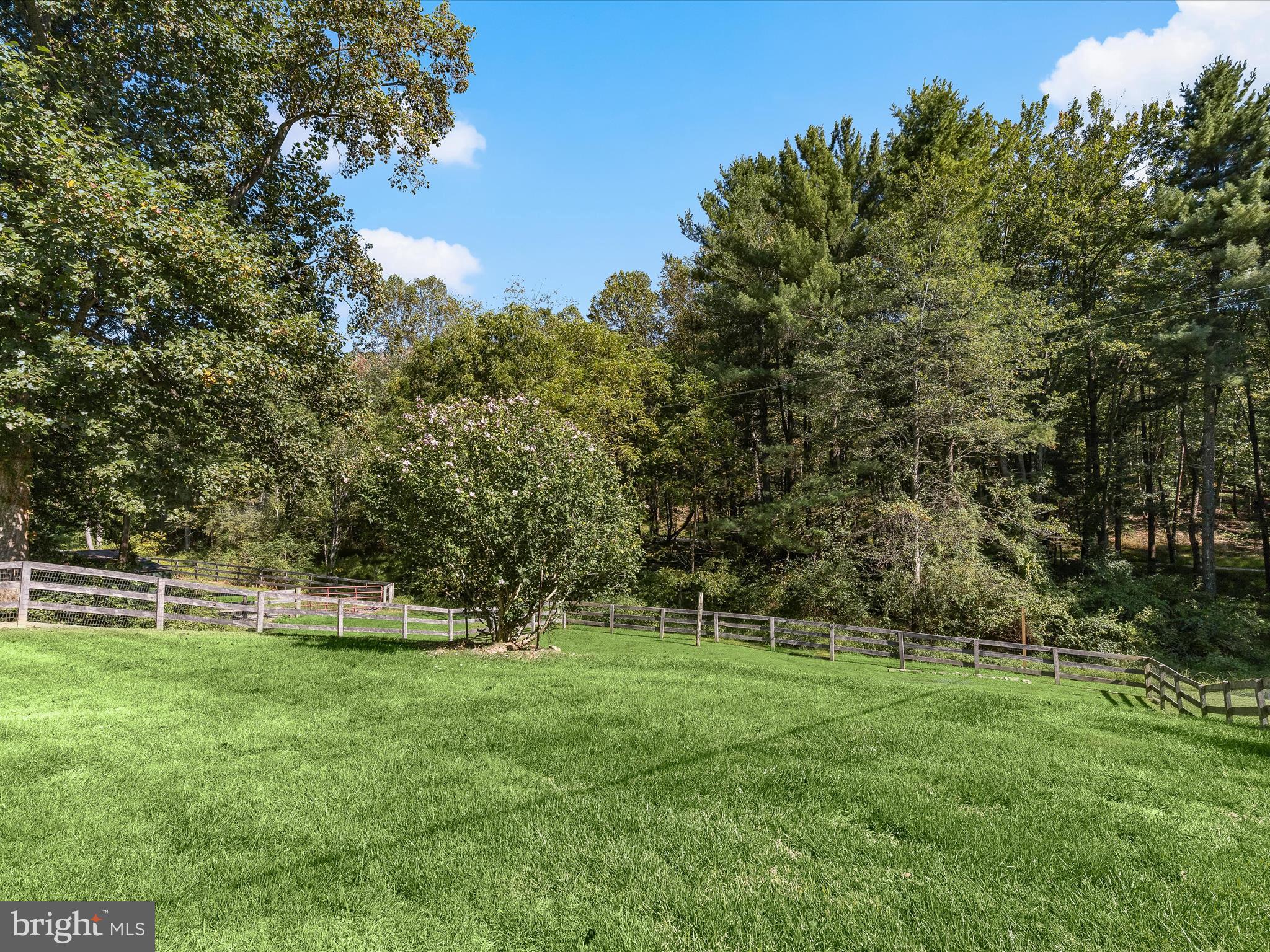 6270 Davis Road Woodbine, MD 21797 - Photo 40 of 88 Fenced Backyard