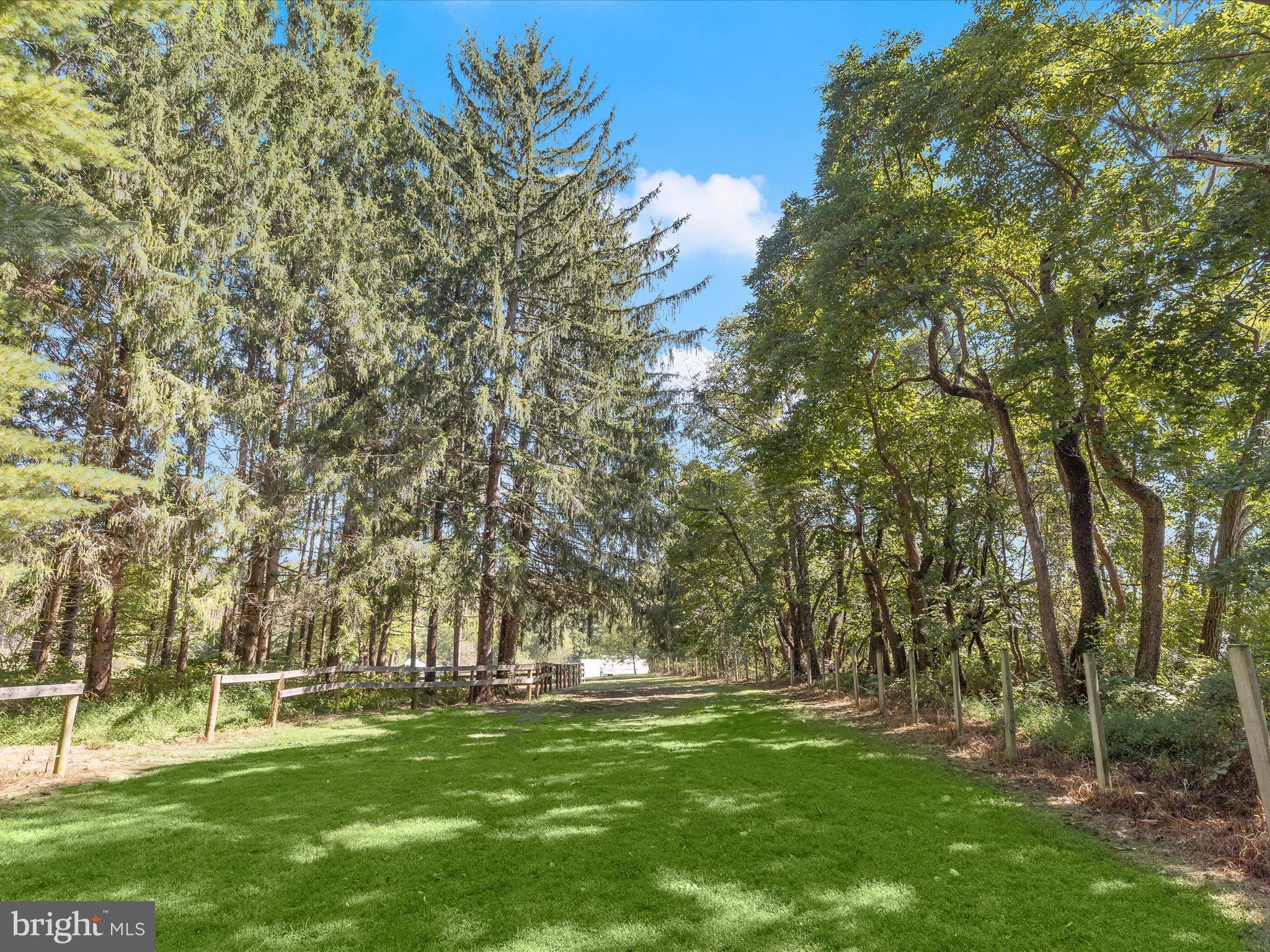 6270 Davis Road Woodbine, MD 21797 - Photo 70 of 88 Path beside Pasture