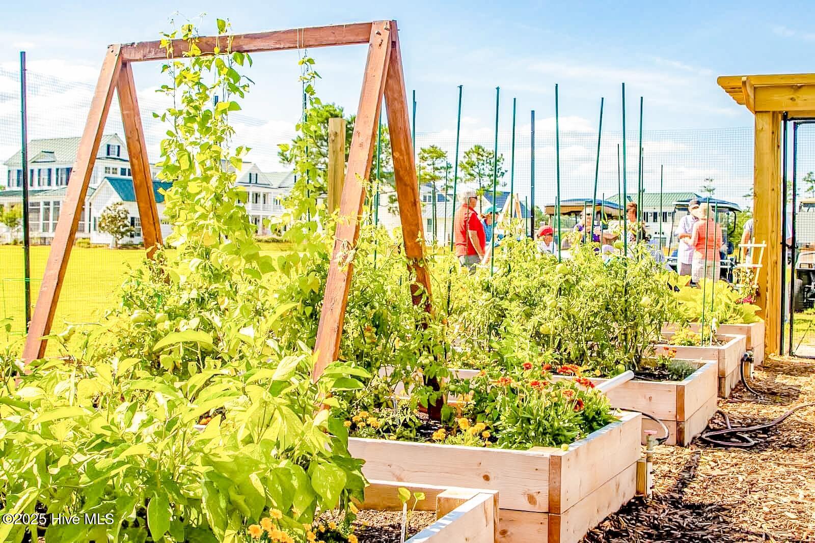 770 Preservation Road Oriental, NC 28571 - Photo 47 of 57 Community Garden (Large)