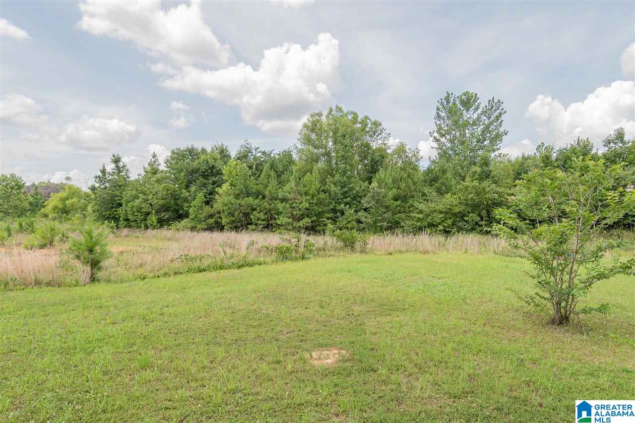 787 Crider Road Alabaster, AL 35114 - Photo 38 of 38