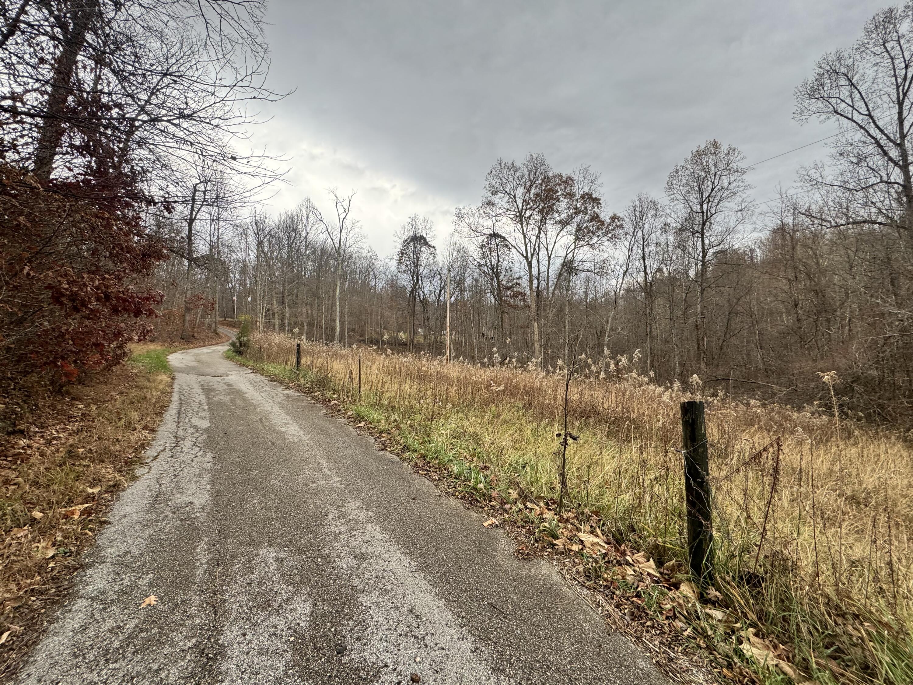 7099 Furnace Road Stanton, KY 40380 - Photo 2 of 13 IMG_5861