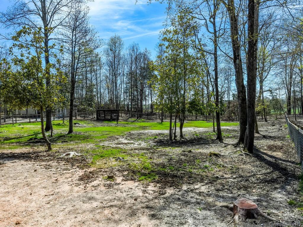 124 Red Fox Road Columbus, NC 28722 - Photo 29 of 32
