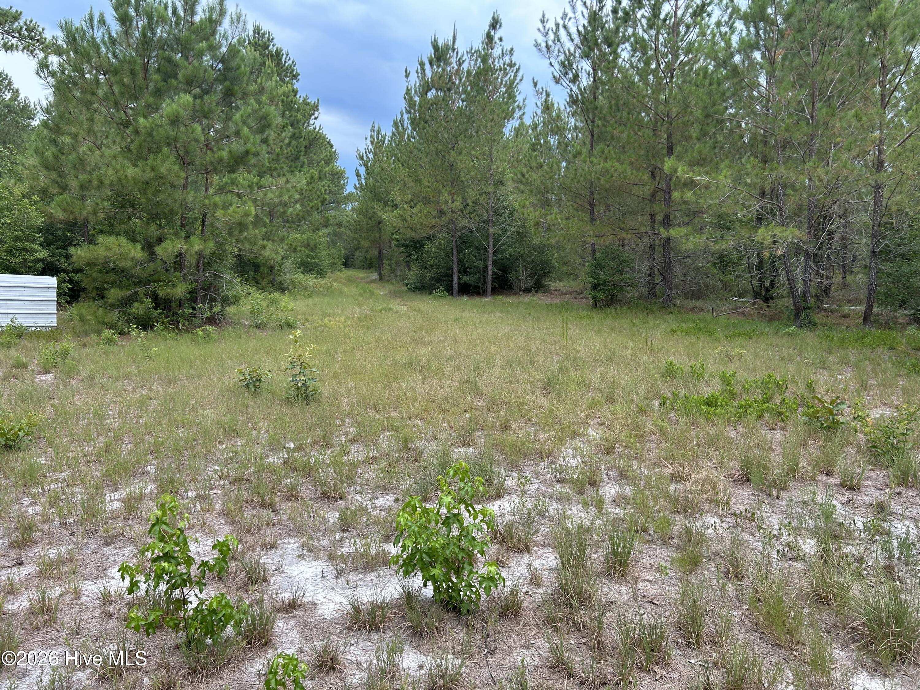 0 Autrytown Road Elizabethtown, NC 28337 - Photo 43 of 51 Gallery Image 43